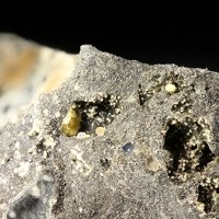 Ecdemite