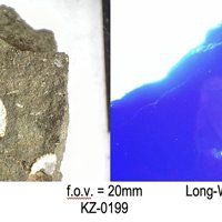 Carpathite