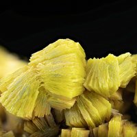 Uranocircite