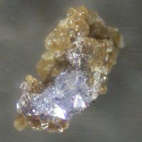 Gainesite