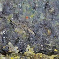Aiolosite