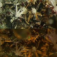 Calcioburbankite, Manganoneptunite