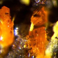 Rakovanite