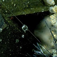Calcite, Jamesonite, Arsenopyrite