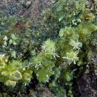 Rabbittite, Liebigite