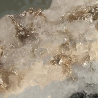 Tainiolite