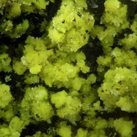 Carnotite