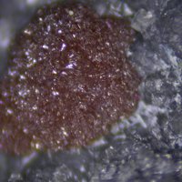 Xanthoconite, Proustite, Calcite