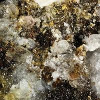 Caracolite