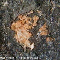 Cabalzarite