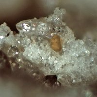 Gasparite-(Ce), Quartz, Opal-AN