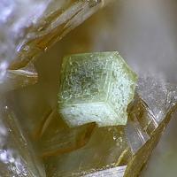 Caesiumpharmacosiderite