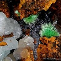 Agardite-(Ce), Calcite