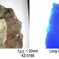 Carpathite