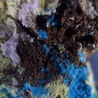 Canutite, Magnesiokoritnigite, Lavendulan