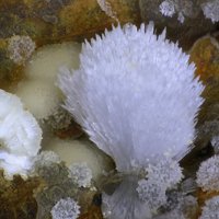 Dachiardite-Ca, Dachiardite-Na, Ferrierite-Na