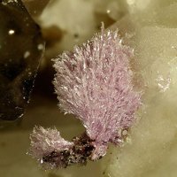 Cascandite