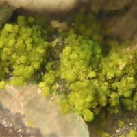 Gartrellite