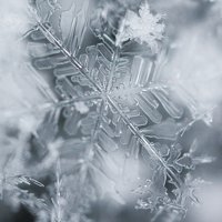 Ice