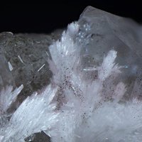 Oyelite