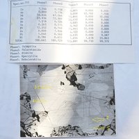 Palarstanide, Taimyrite, Atokite