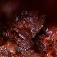 Cassedanneite