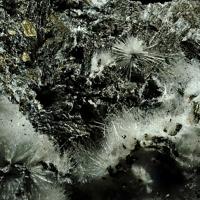Canavesite