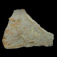 Abernathyite