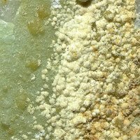 Faustite, Variscite, Crandallite