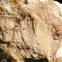Xanthoxenite, Foitite