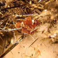 Barwoodite