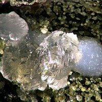 Calcite, Fluorite, Ecdemite
