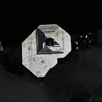 Carrollite
