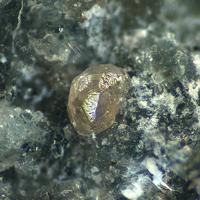 Calzirtite