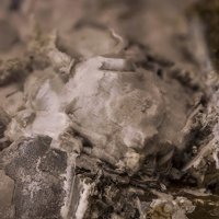 Nastrophite, Dolomite
