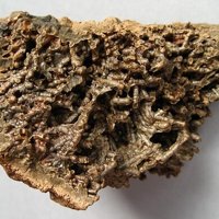 Caryochroite