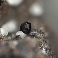 Rankinite, Leucite