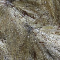 Carpholite