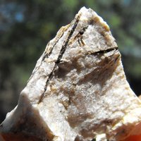 Umbozerite