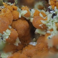 Uranosphaerite, Trögerite