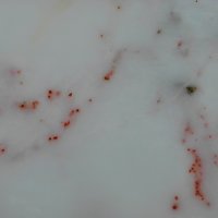 Datolite