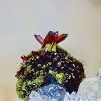 Carminite, Beudantite