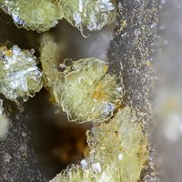 Carlhintzeite