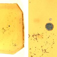 Cadmium