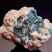 Salesite