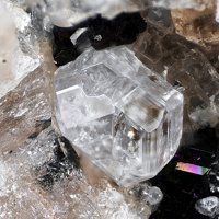 Sacrofanite