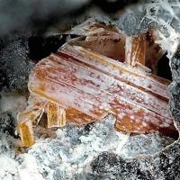 Bazhenovite