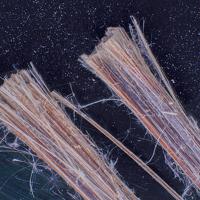 Balangeroite