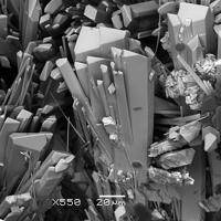Campostriniite