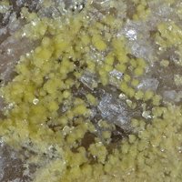 Uranospinite